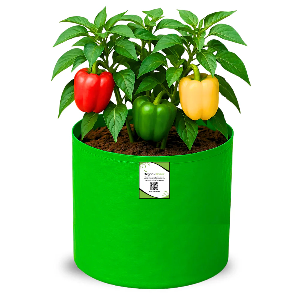 OrganicBazar 9x12 Grow Bag for Terrace Garden, Premium HDPE 260 GSM, Green Plant Bags - Image 4