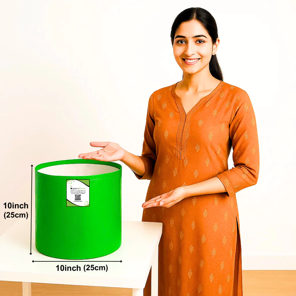 OrganicBazar HDPE 10×10 Cylindrical Grow Bag – 260 GSM | UV-Stabilized Round Grow Bag for Vegetables & Flowers - Image 2