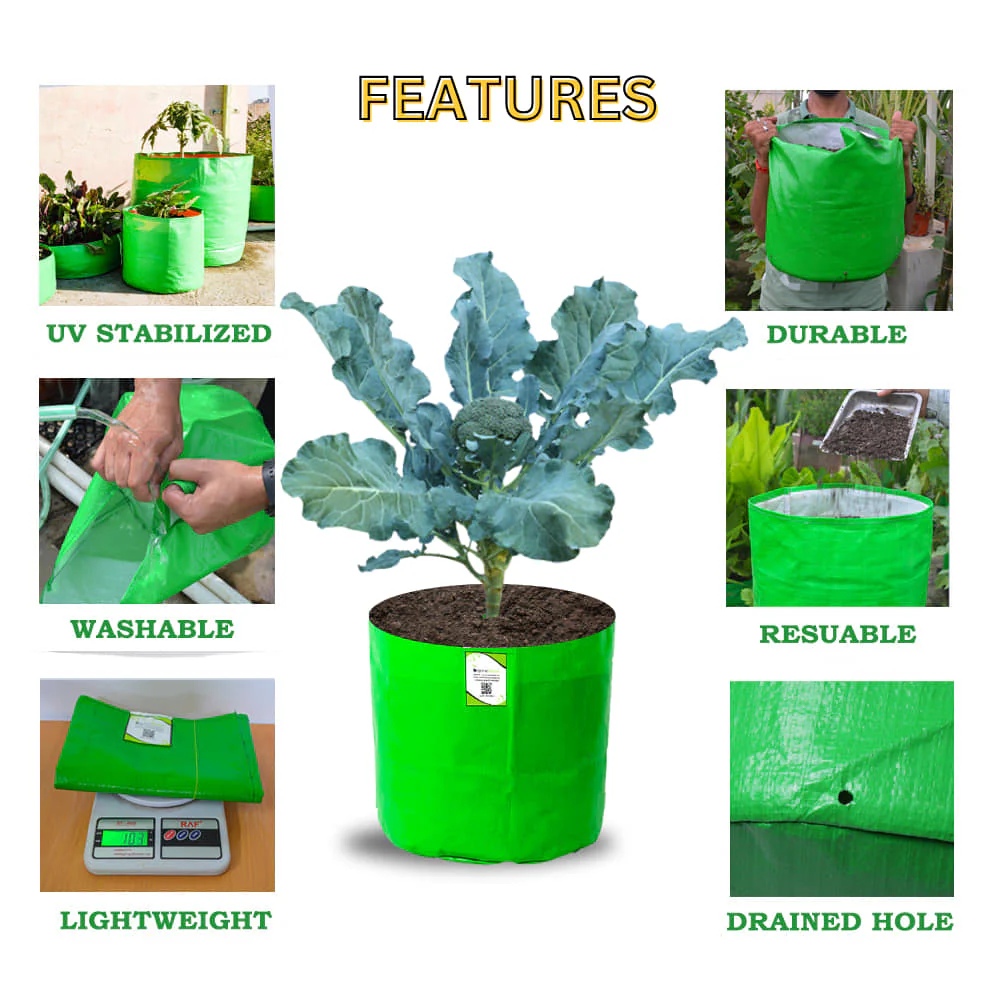 OrganicBazar HDPE 10×10 Cylindrical Grow Bag – 260 GSM | UV-Stabilized Round Grow Bag for Vegetables & Flowers - Image 3