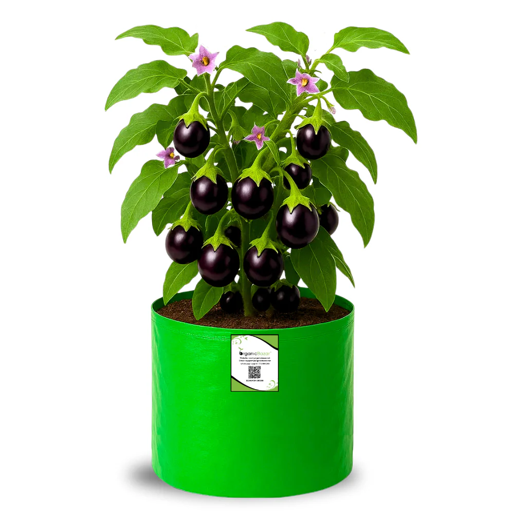 OrganicBazar HDPE 10×10 Cylindrical Grow Bag – 260 GSM | UV-Stabilized Round Grow Bag for Vegetables & Flowers - Image 4