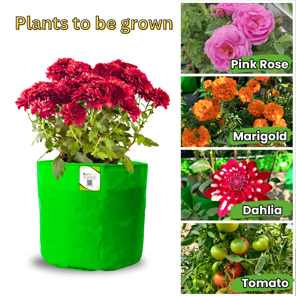 OrganicBazar 6x6 Small Size Grow Bag for Home Gardening, Premium HDPE 260 GSM, Green Plant Bags - Image 8