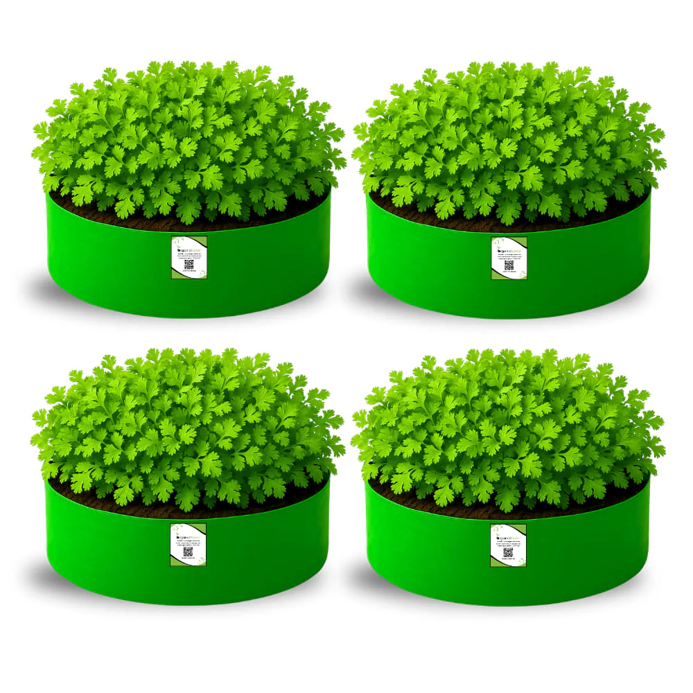 OrganicBazar 15x6 Grow Bag for Leafy Vegetables, Premium HDPE 260 GSM, Green Plant Bags - Image 5