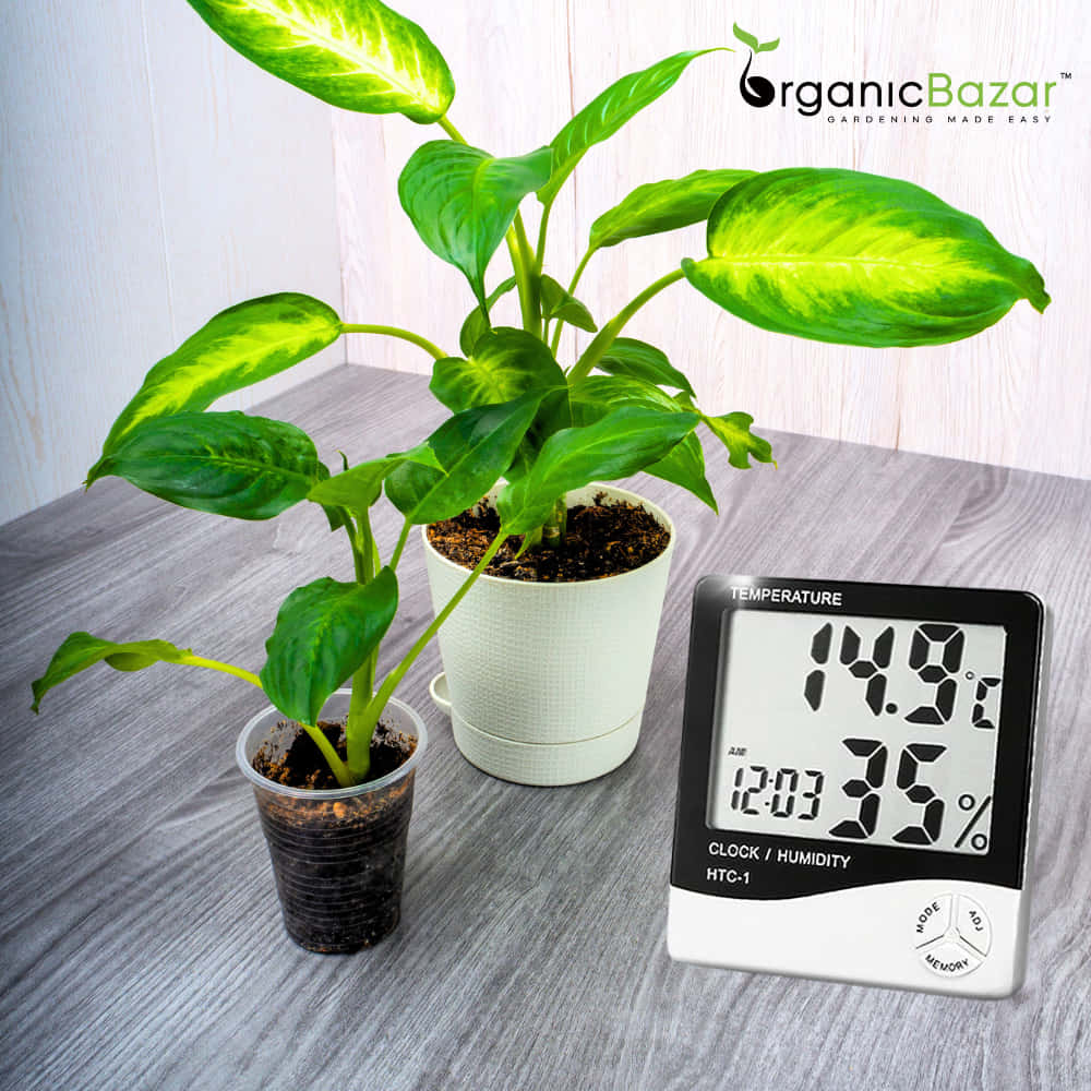 HTC-1 Digital Temperature Humidity Meter with clock Big LCD Display - Image 3