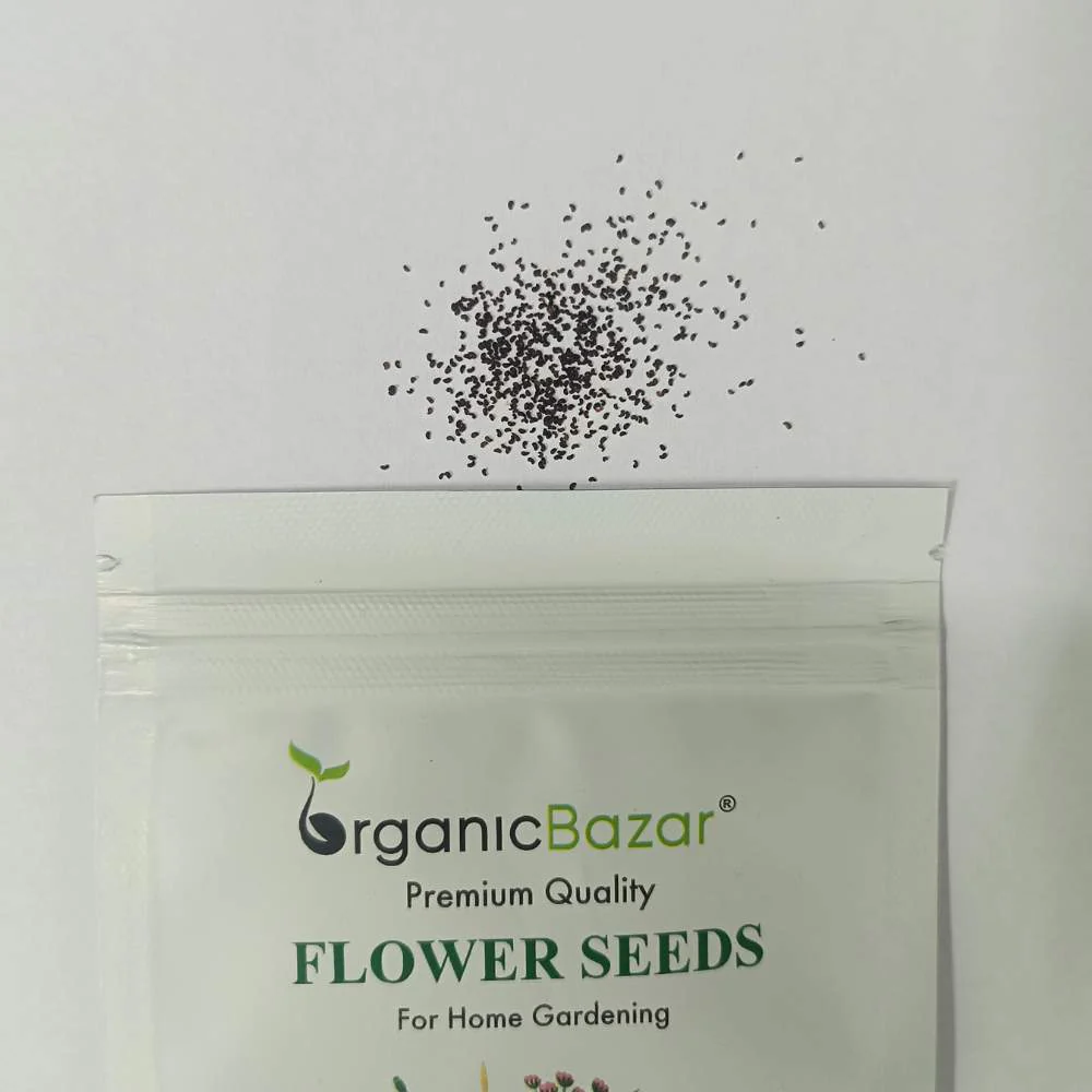 Iceland Poppy Mix Seeds (400 Seeds) - Image 3