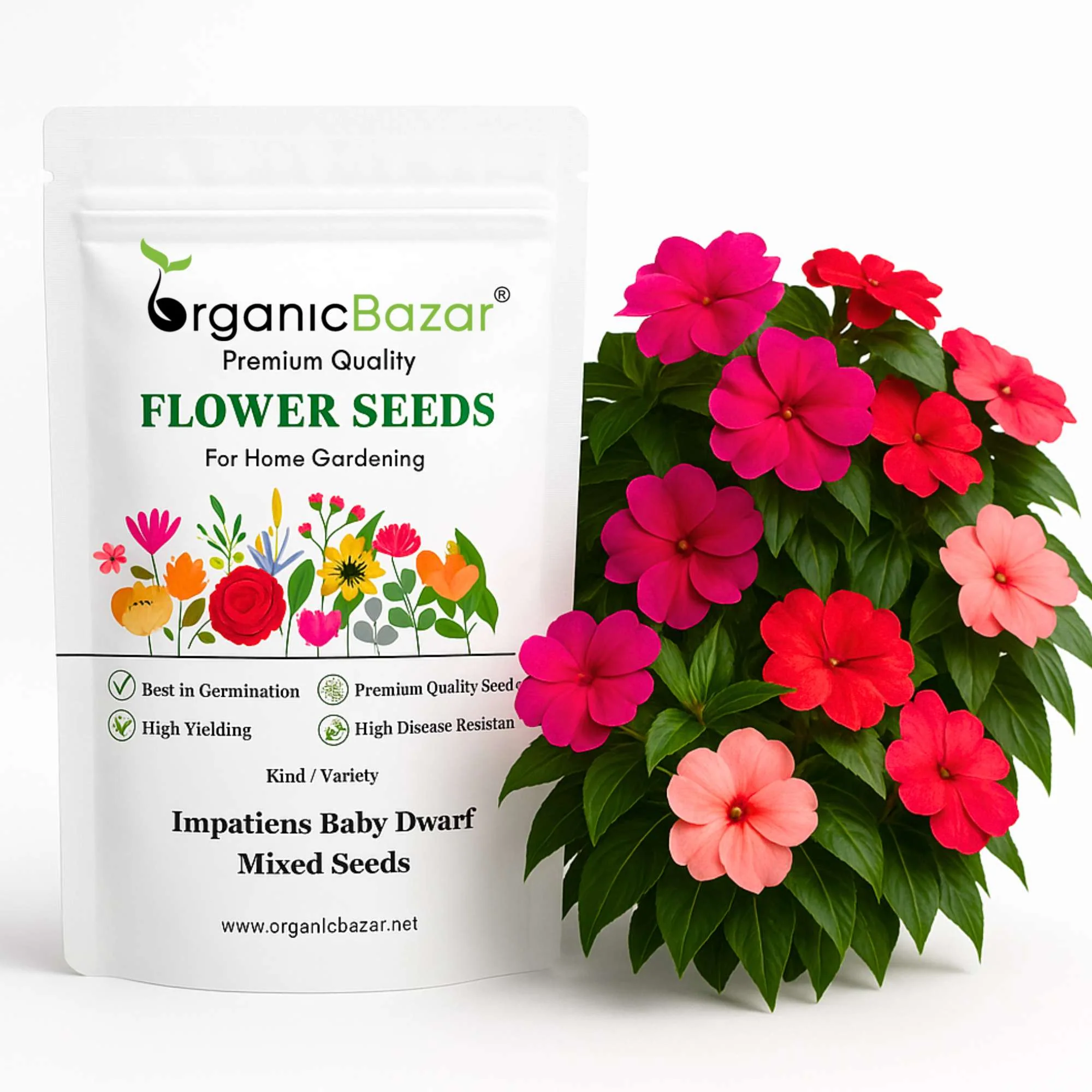 Impatiens Baby Dwarf Mixed Seeds (25 Seeds) Easy To Grow, High Germination, Perfect for pots, balconies, or Terrace gardens