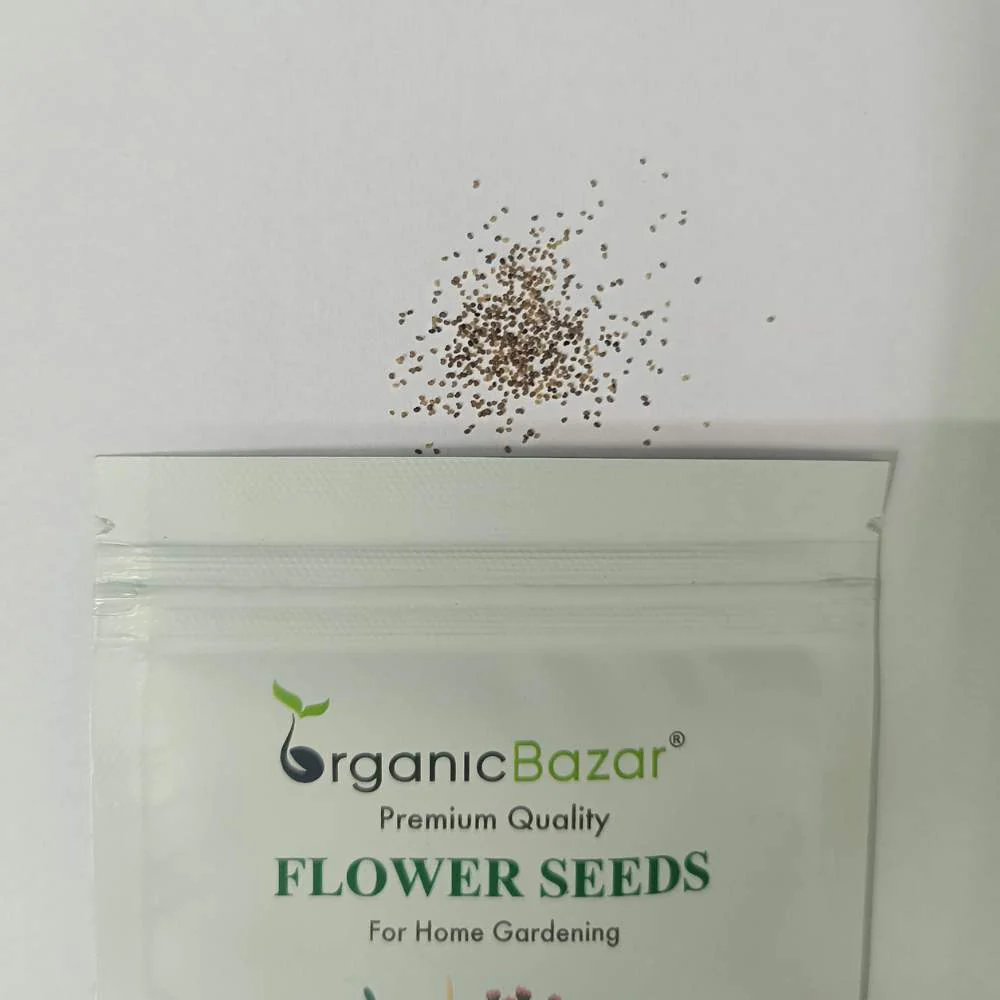 Indian Shirley Poppy Mix Seeds (400 Seeds) High Germination, Perfect for pots, balconies, or Terrace gardens - Image 3