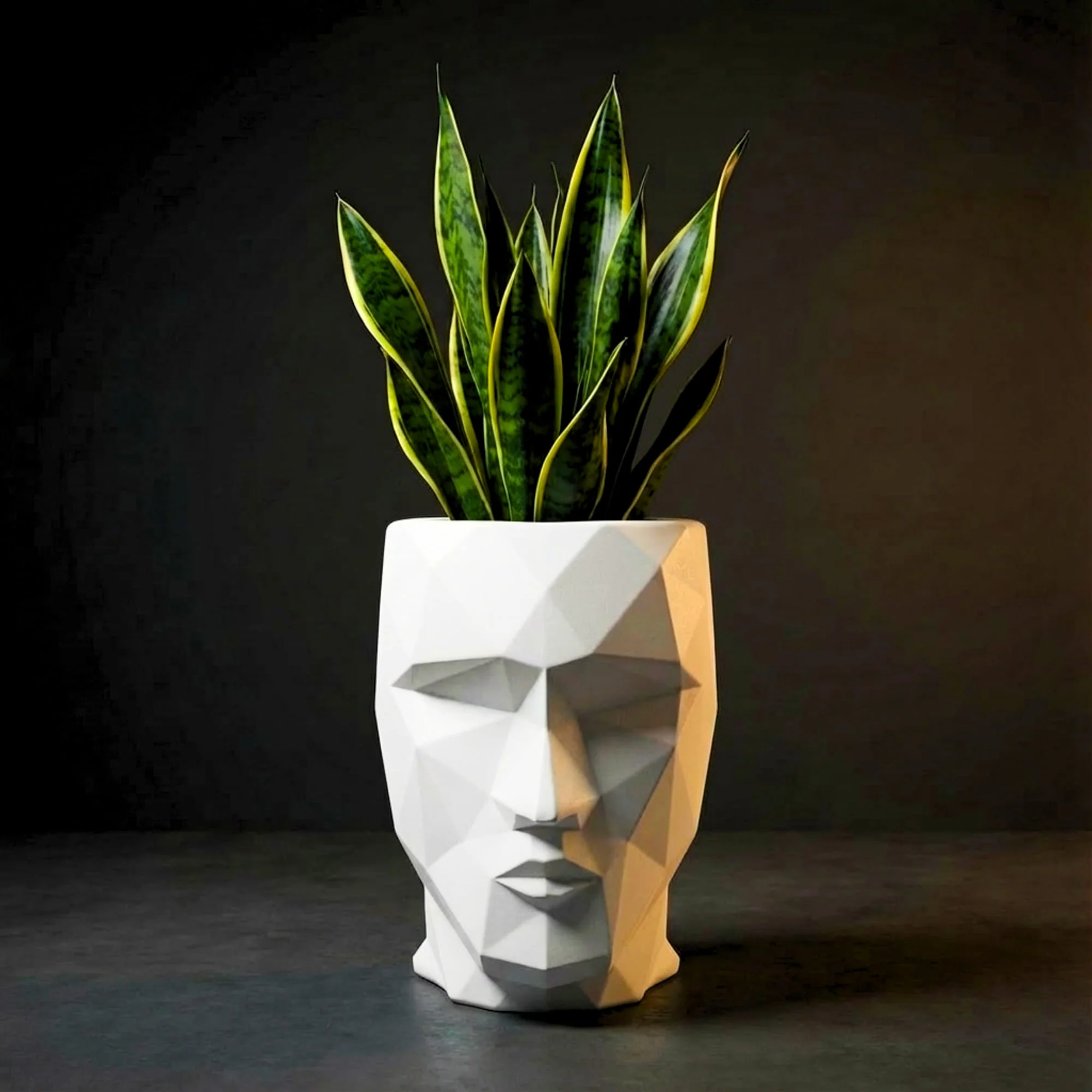 Iron Man Face Planter Pot (Pack of 1) – Luxury Geometric Designer Unique Plant Pots for Living Room, Bedroom, Office, Villa, & premium commercial interiors - Image 4
