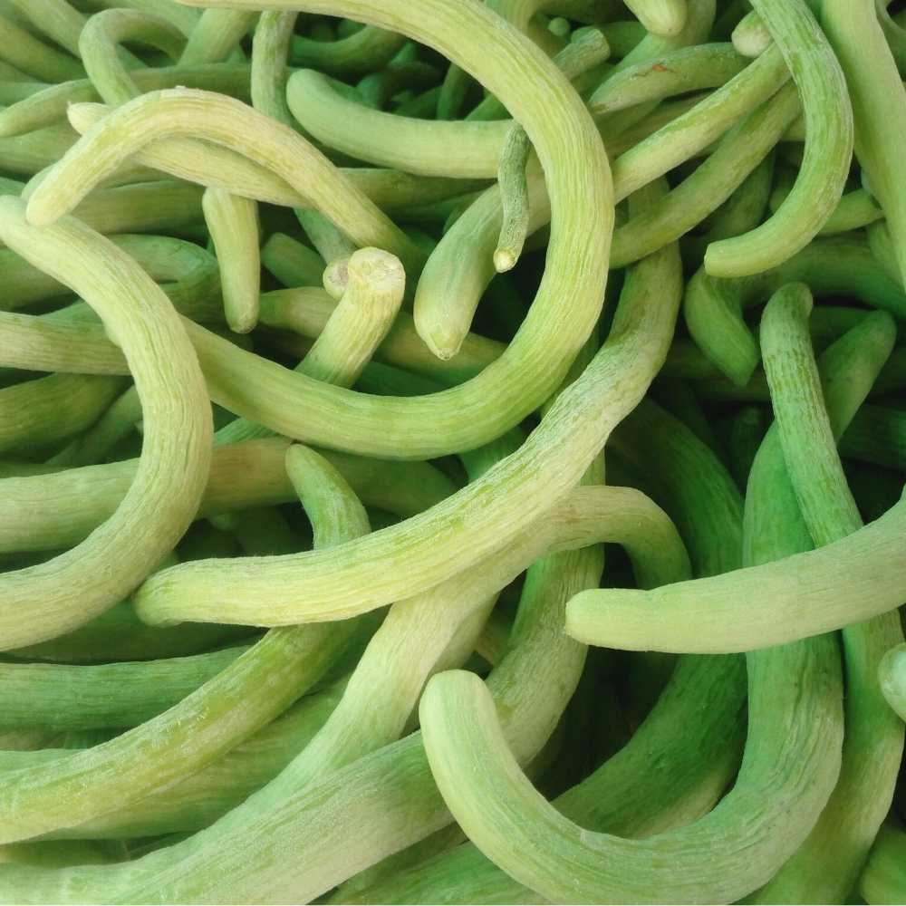 Kakri Long Melon Seeds - 20 Seeds (Kakdi/ककड़ी के बीज) High Germination, Easy to Grow Seeds For Terrace Gardening - Image 2