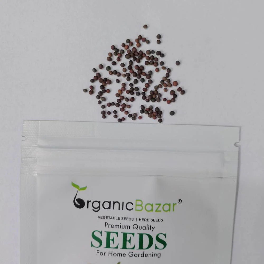Kale Seeds For Home Gardening - 150 Seeds (केल के बीज) High Germination / Easy to Grow / Ideal for Terrace/Kitchen Gardening - Image 3