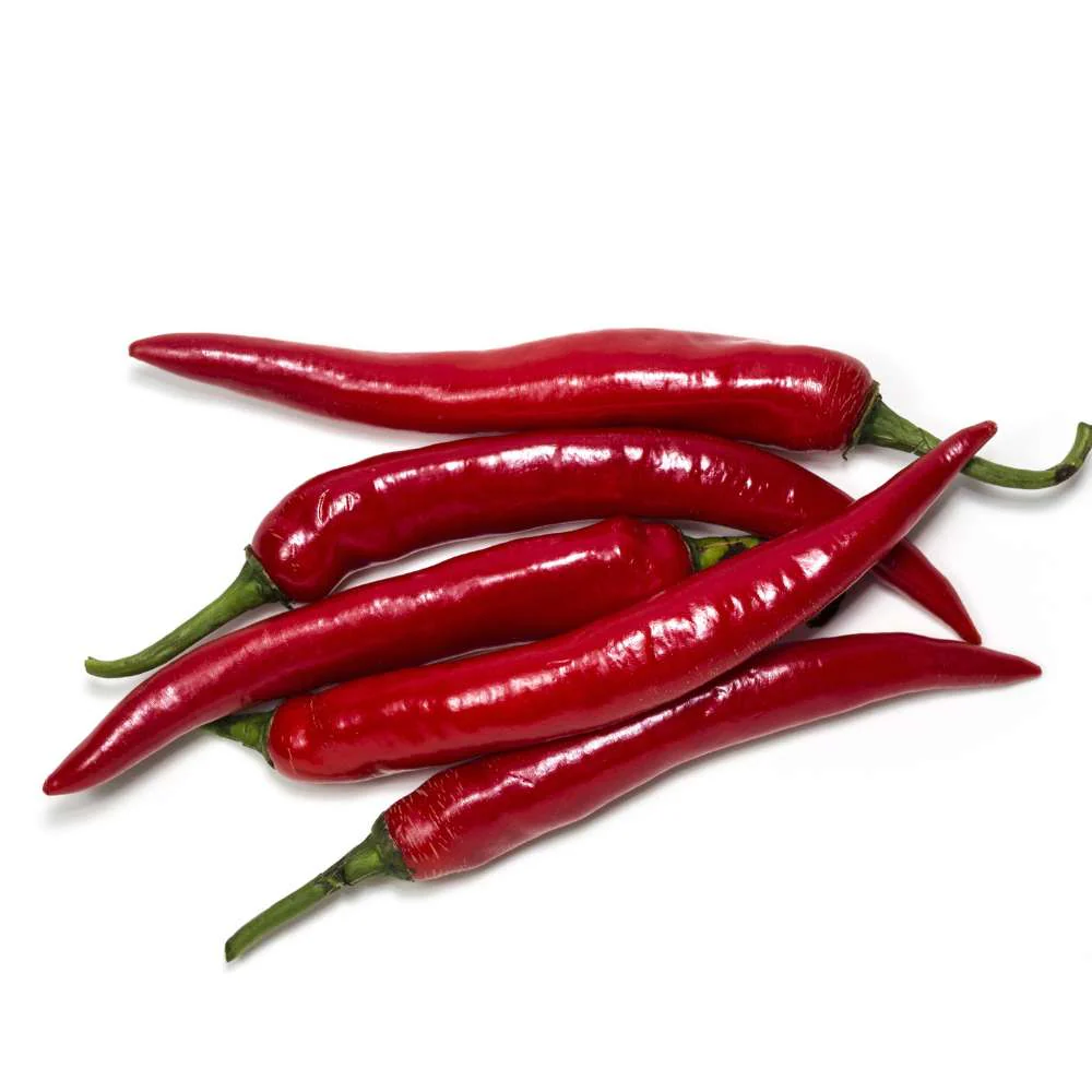 Kashmiri Chilli Seeds - (50 Seeds) High Yield | High Germination | Best for Home Gardens (Kashmiri Laal Mirch ke Beej / कश्मीरी मिर्च के बीज) - Image 2