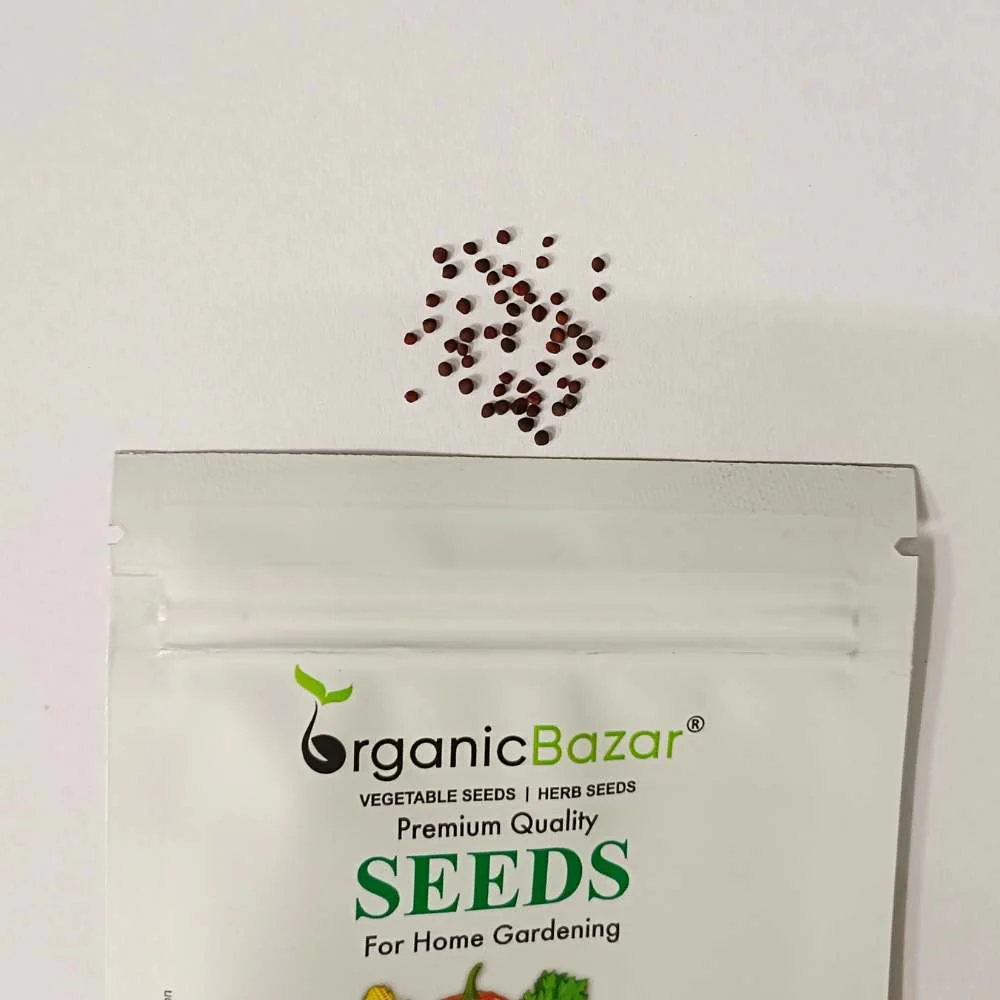 Knol Khol Purple Seeds - 50 Seeds (Ganth Gobhi/गांठ गोभी के बीज) - Image 3