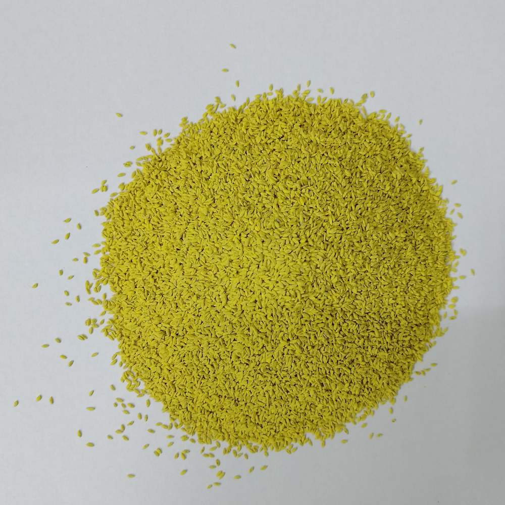 American Bermuda Grass Seeds For Lawn Garden (50g) - Image 3