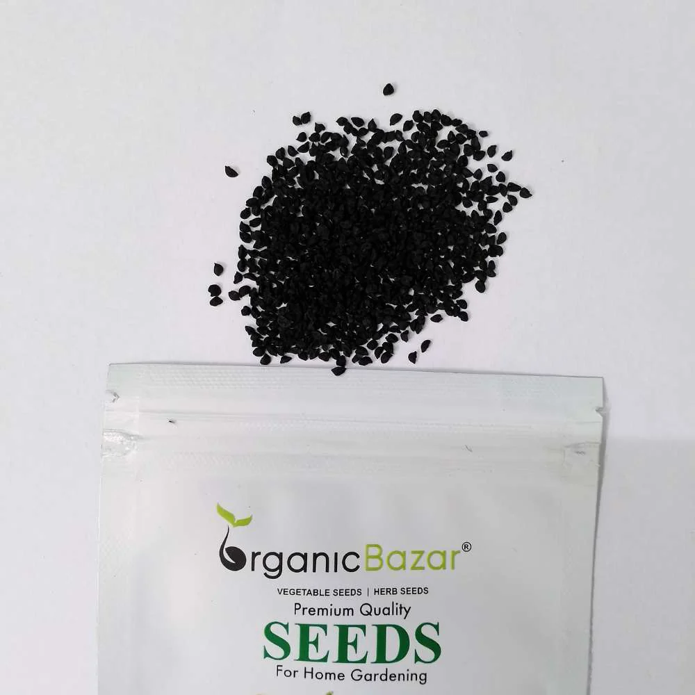 Leek Seeds - 500 Seeds (Hari Pyaj/लीक के बीज) High Germination/ Easy to Grow/ Ideal for Terrace/Kitchen Gardening - Image 4