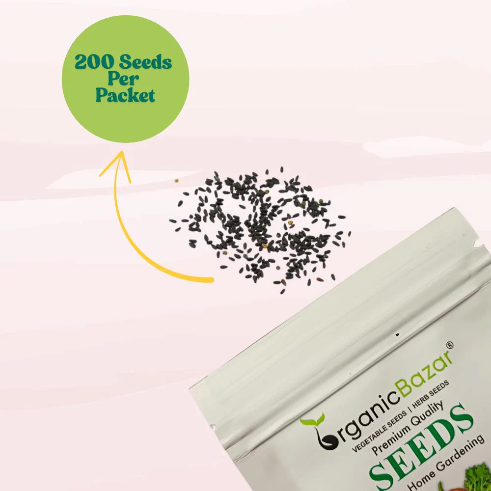 Lemon Balm Seeds - 200 Seeds (लेमन बाम के बीज) High Germination/ Easy to Grow/ Ideal For Terrace Gradening - Image 3