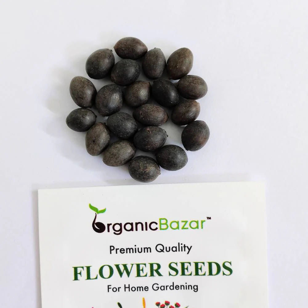 Lotus Flower Mixed Color Seeds - 20 Seeds (Kamal ke Beej/कमल के फूल के बीज) - Image 2