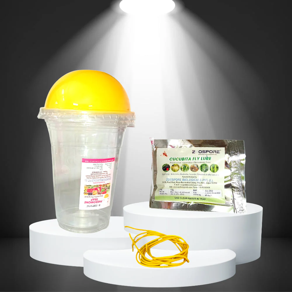 Melon Fruit Fly Trap With Pheromone Lure For Organic Gardening - Image 4