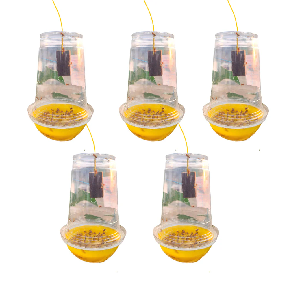 Melon Fruit Fly Trap With Pheromone Lure For Organic Gardening - Image 5