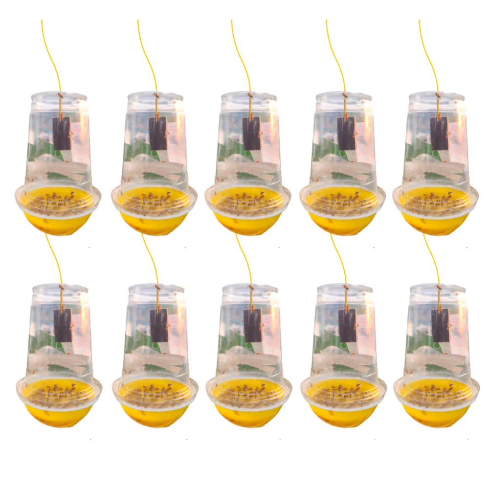 Melon Fruit Fly Trap With Pheromone Lure For Organic Gardening - Image 6