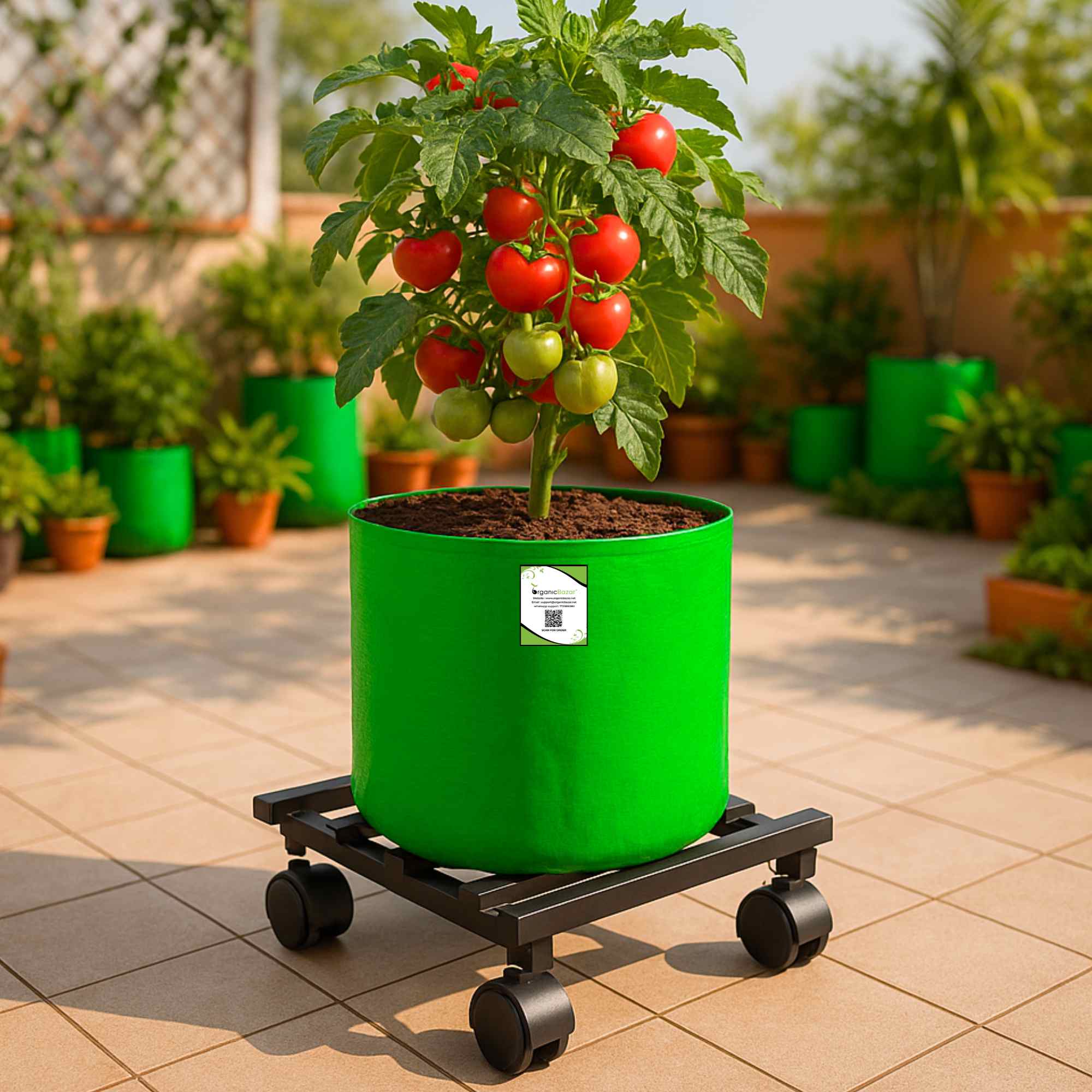 OrganicBazar Heavy Duty Plant Stand with Wheels | Plant Caddy with Wheel | Wheel Pot Trolley for Balcony, Indoor & Outdoor Garden | Rust-Proof Metal Gamla Stand (Black, Pack of 2) - Image 2