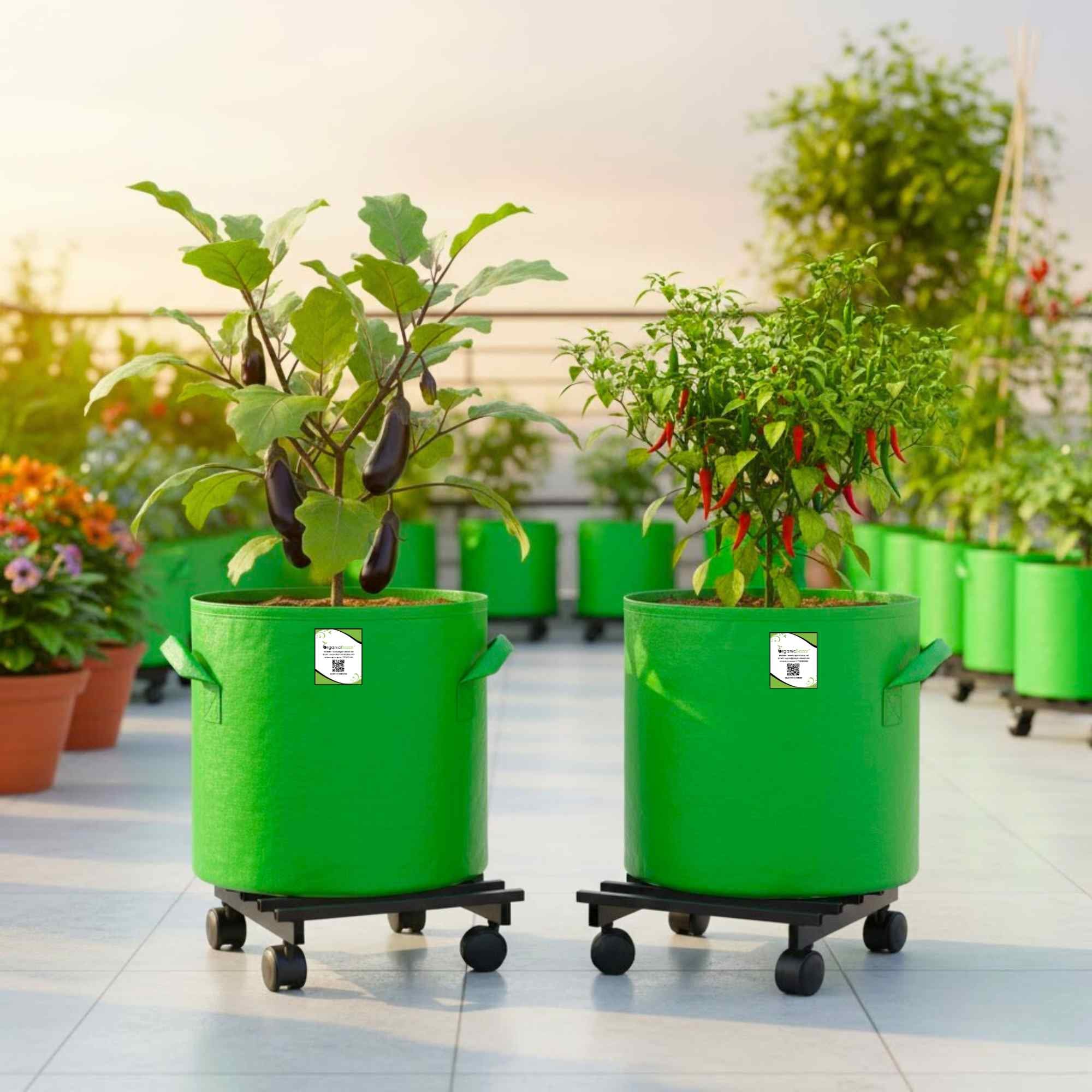 OrganicBazar Heavy Duty Plant Stand with Wheels | Plant Caddy with Wheel | Wheel Pot Trolley for Balcony, Indoor & Outdoor Garden | Rust-Proof Metal Gamla Stand (Black, Pack of 2) - Image 3