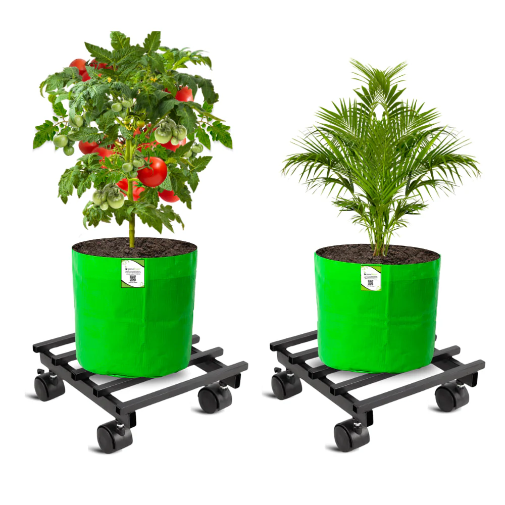 OrganicBazar Heavy Duty Plant Stand with Wheels | Plant Caddy with Wheel | Wheel Pot Trolley for Balcony, Indoor & Outdoor Garden | Rust-Proof Metal Gamla Stand (Black, Pack of 2) - Image 6
