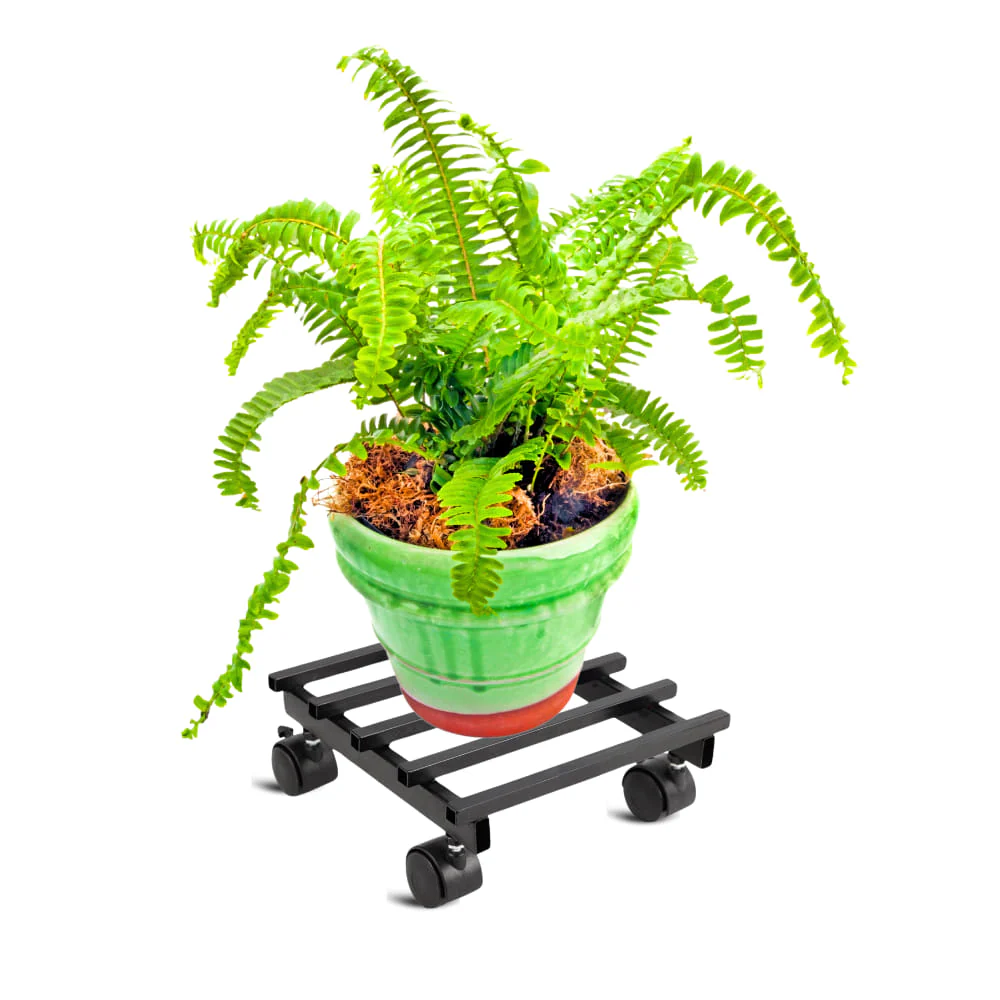 OrganicBazar Heavy Duty Plant Stand with Wheels | Plant Caddy with Wheel | Wheel Pot Trolley for Balcony, Indoor & Outdoor Garden | Rust-Proof Metal Gamla Stand (Black, Pack of 2) - Image 7