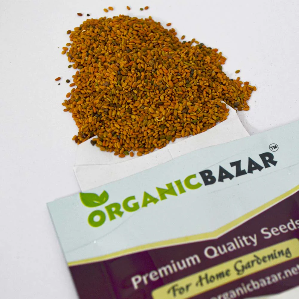 Methi Kasuri Seeds - 10g (मेथी के बीज) - Image 3