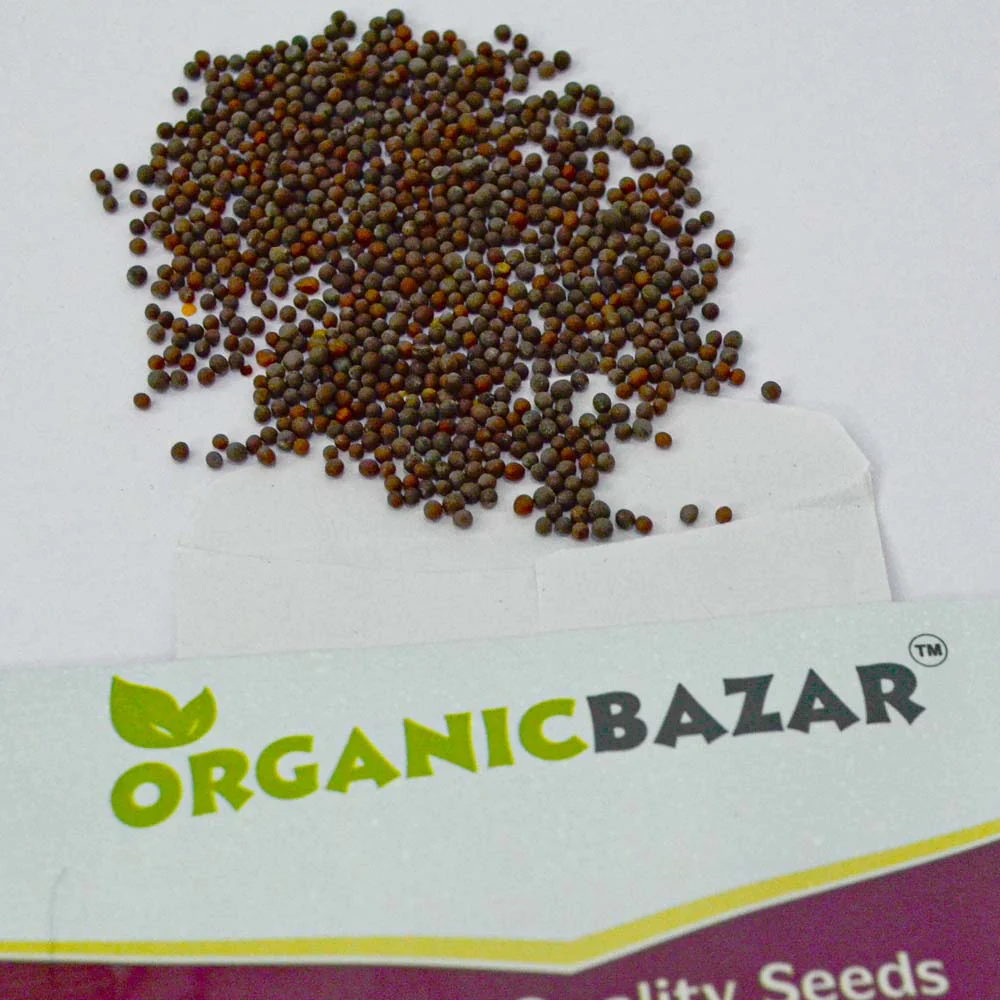 Mustard Green Seeds For Sarso Saag - 750 Seeds(साग वाली सरसों के बीज) - Image 3