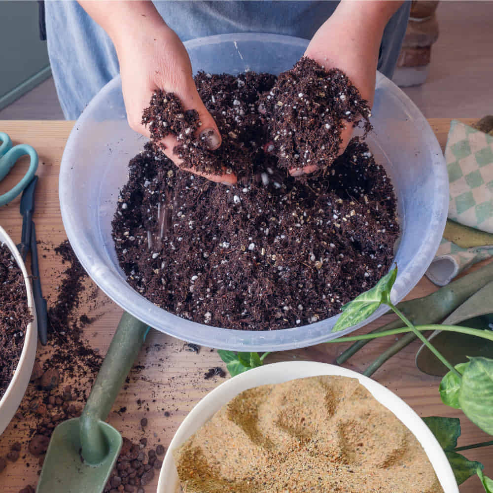 Natural River Sand Multi-Purpose Pure Organic Plants Soil Mix Additive - Image 7