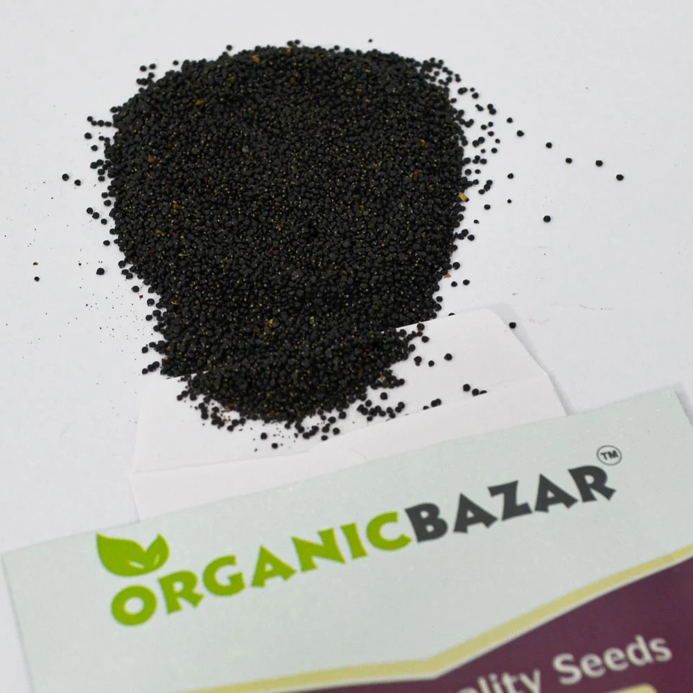 Noniya Saag or Kulfa Ki Bhaji Seeds - 5g (नोनिया साग/कुल्फा की भाजी) - Image 5