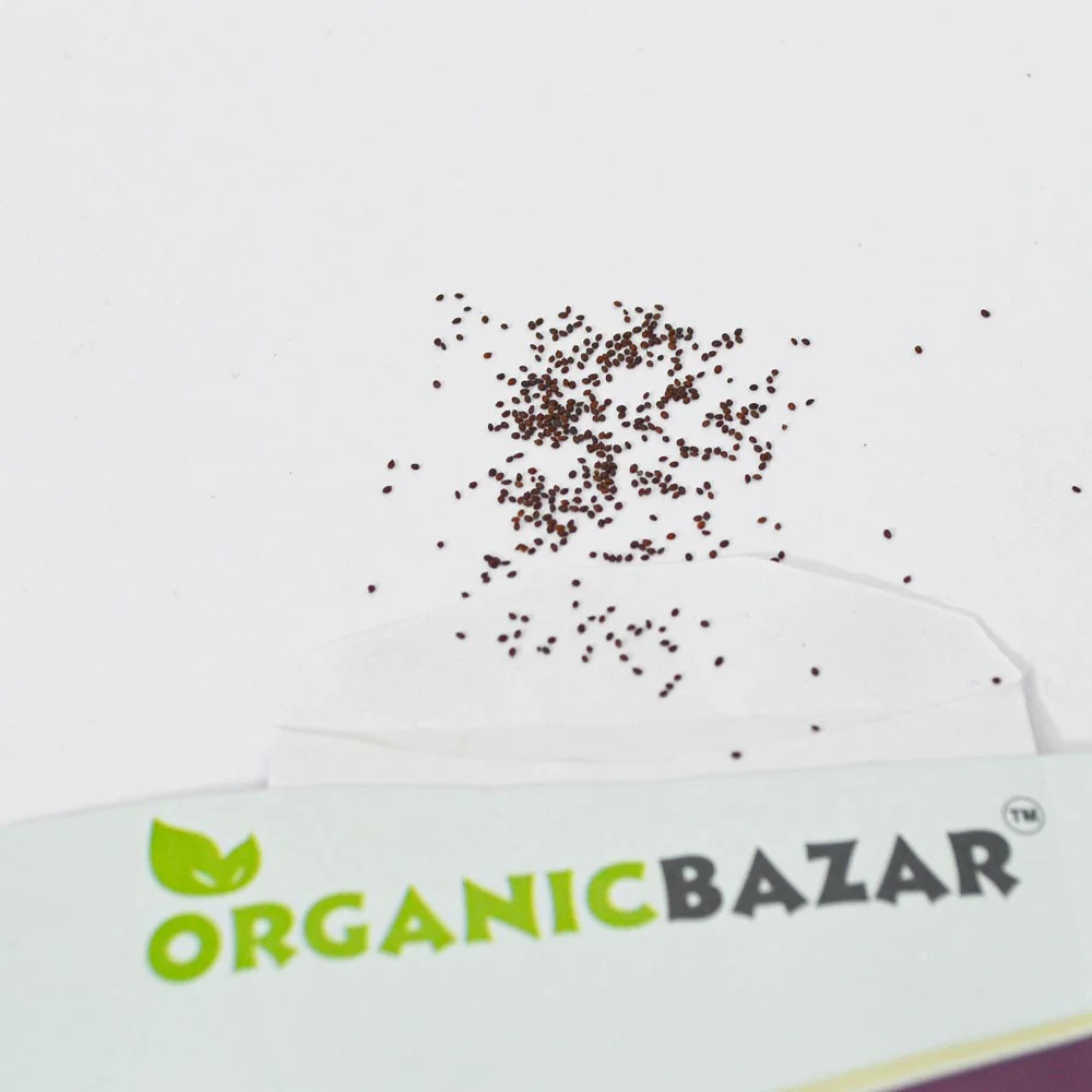 Oregano Seeds - 200 Seeds (ओरिगैनो के बीज) High-Germination Herb Seeds for Pots, Balcony & Home Garden - Image 3