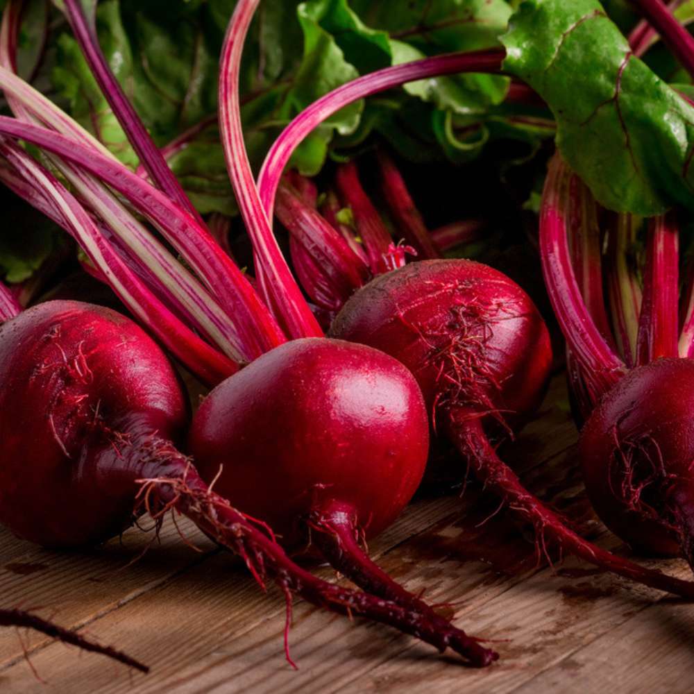 Untreated Beetroot (Chukandar) seeds For Organic Gardening - 200 Seeds (चुकंदर के बीज) - Image 2