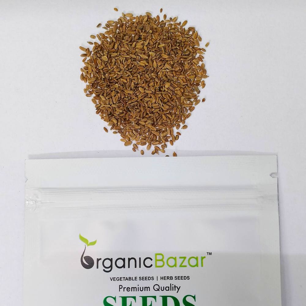 Untreated Carrot Orange Seeds For Organic Gardening - 1000 Seeds (Gajar/गाजर के बीज) - Image 3