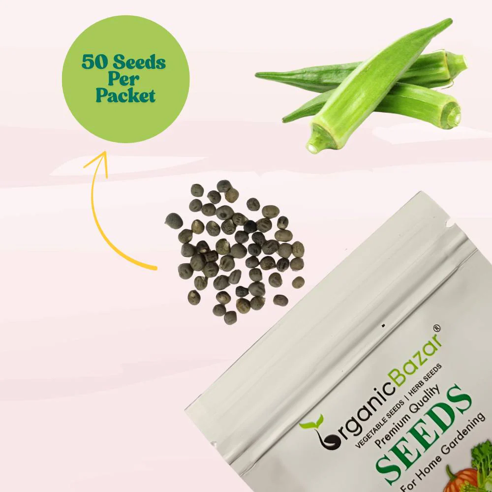 Untreated Okra or Lady Finger Seeds For Organic Gardening - 50 Seeds (Bhindi/ भिन्डी के बीज) Easy To grow, High Germination, High Yield Okra Seeds for Home Gardening - Image 4