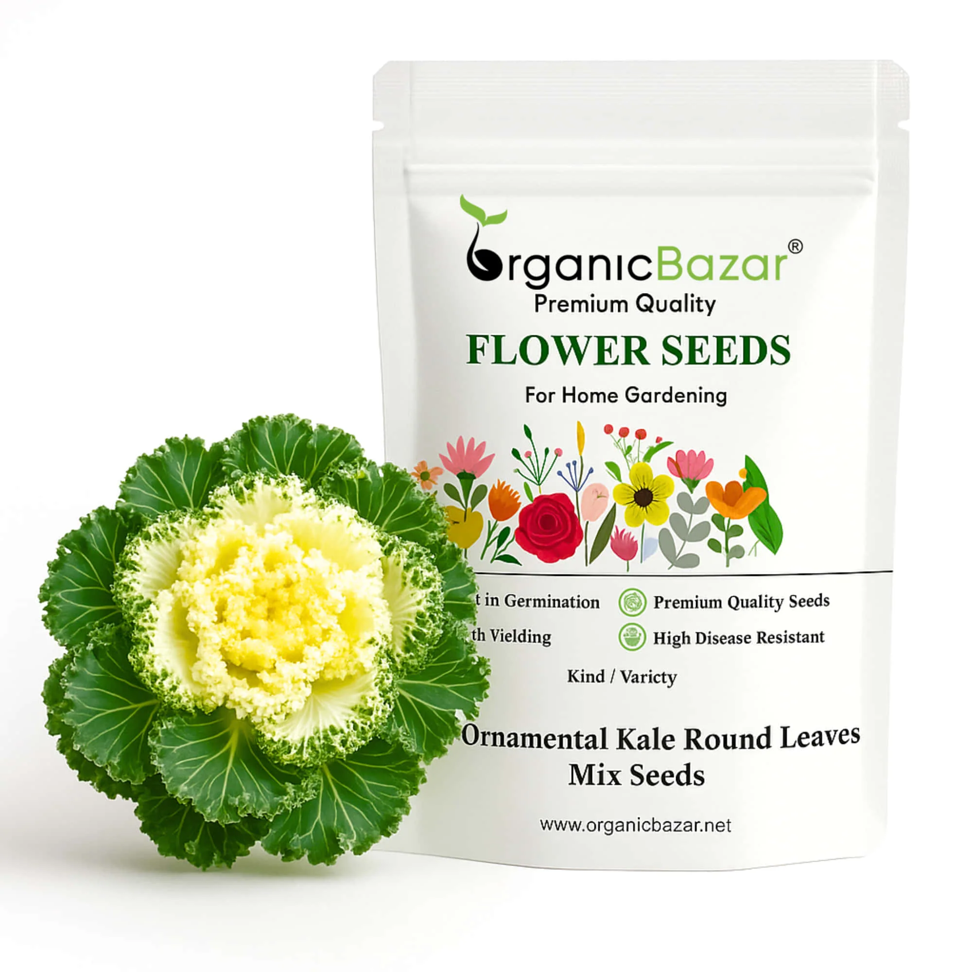 Ornamental Kale Round Leaves Mix Seeds - 200 Seeds (Flowering Kale / सजावटी गोभी के बीज) Easy To Grow, High Germination, Perfect for pots, balconies, or Terrace gardens