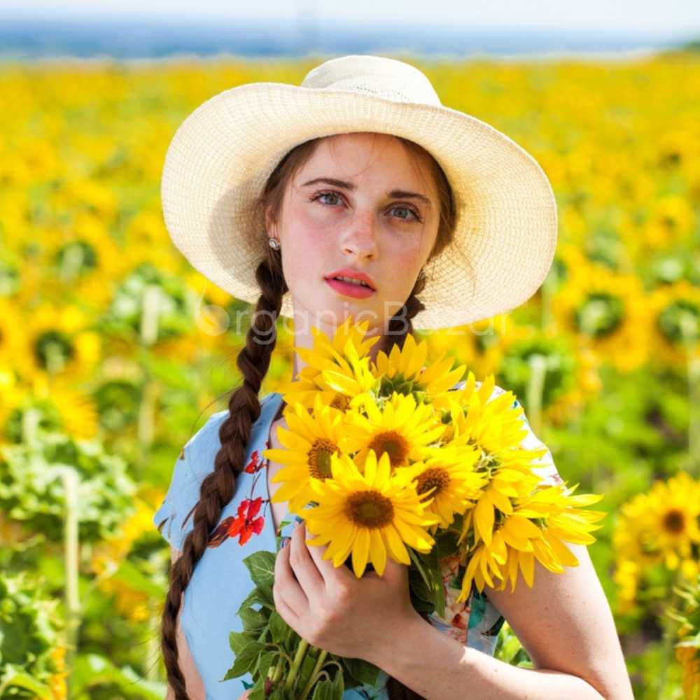 Ornamental Sunflower Seeds For Home Gardening - 10 Seeds (Surajmukhi/ सूरजमुखी के बीज)High Germination/ Easy To grow/ Perfect For Terrace gardening - Image 3