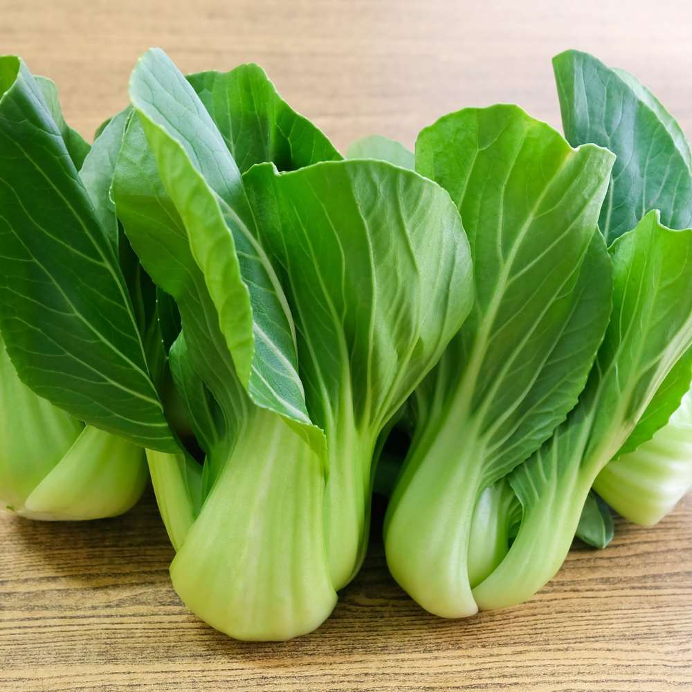 Pak Choi (Bok Choi) Seeds - 150 Seeds (पाक चोई के बीज) - Image 2