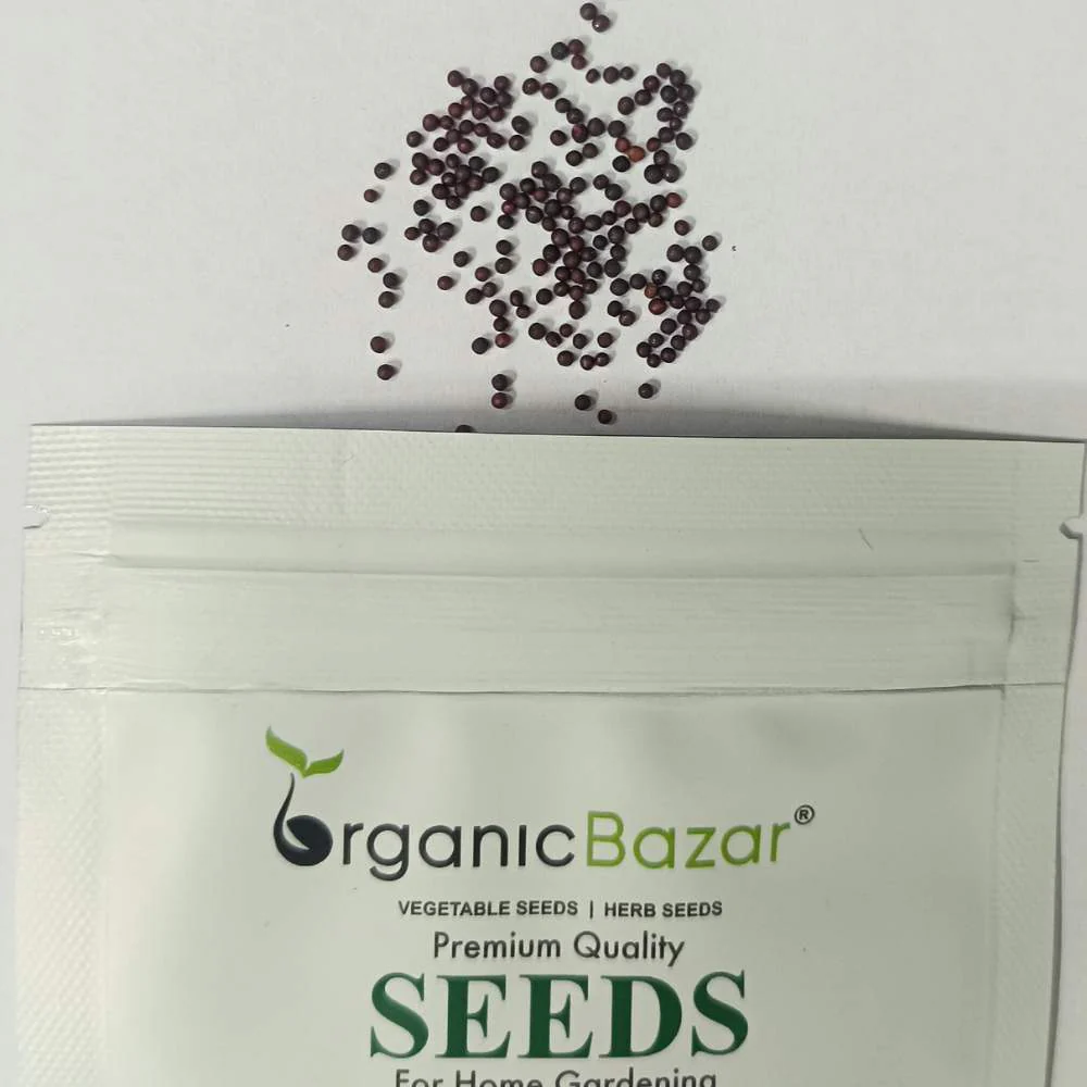 Pak Choi (Bok Choi) Seeds - 150 Seeds (पाक चोई के बीज) - Image 4