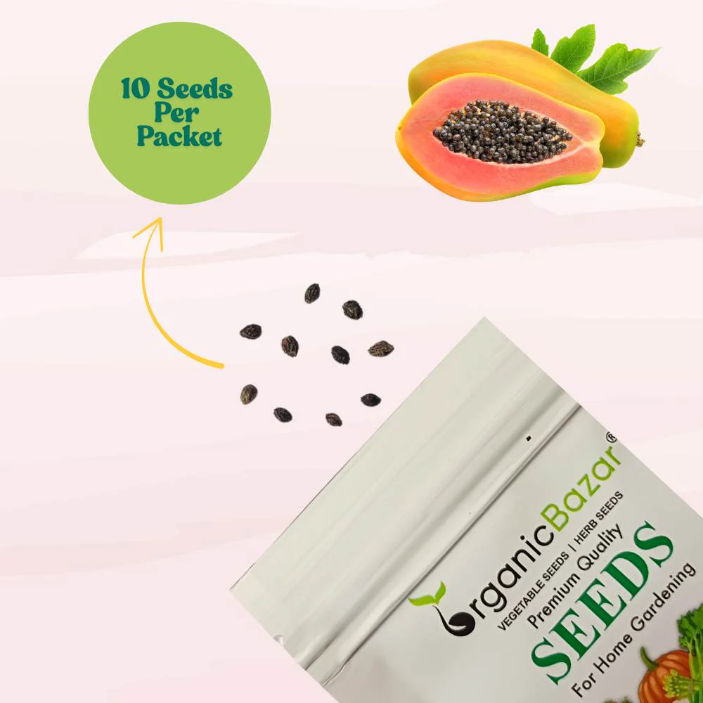 Papaya Seeds  - 10 Seeds (Papita ke beej/पपीता के बीज) High Germination,High-yielding and fast-growing - Image 5