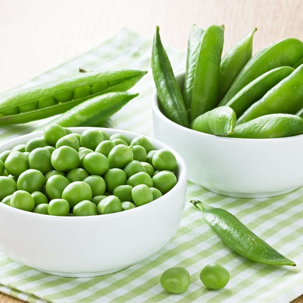 Peas (Matar) Seeds - 50 Seeds (मटर के बीज) - Image 3