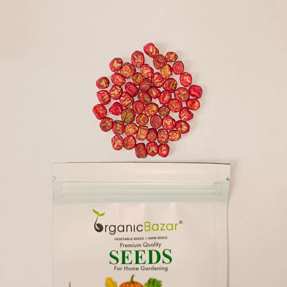 Peas (Matar) Seeds - 50 Seeds (मटर के बीज) - Image 5