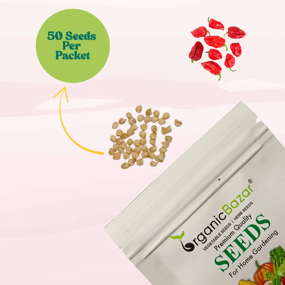 Pepper Habanero Red Seeds (50 Seeds) High Yield | High Germination | Best for Home Gardens - Image 3