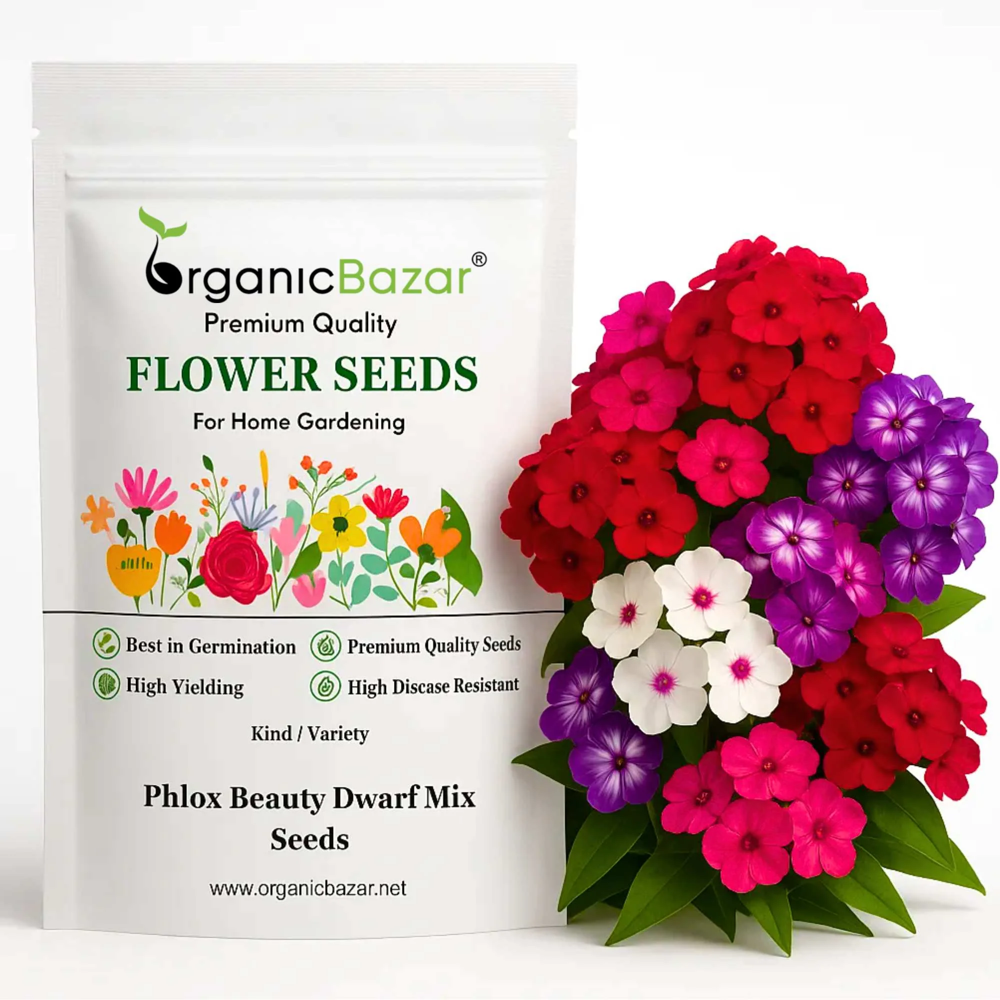 Phlox Beauty Dwarf Mix Seeds (200 Seeds) High Germination/ Easy To grow/ Perfect for pots, balconies, or Terrace gardens