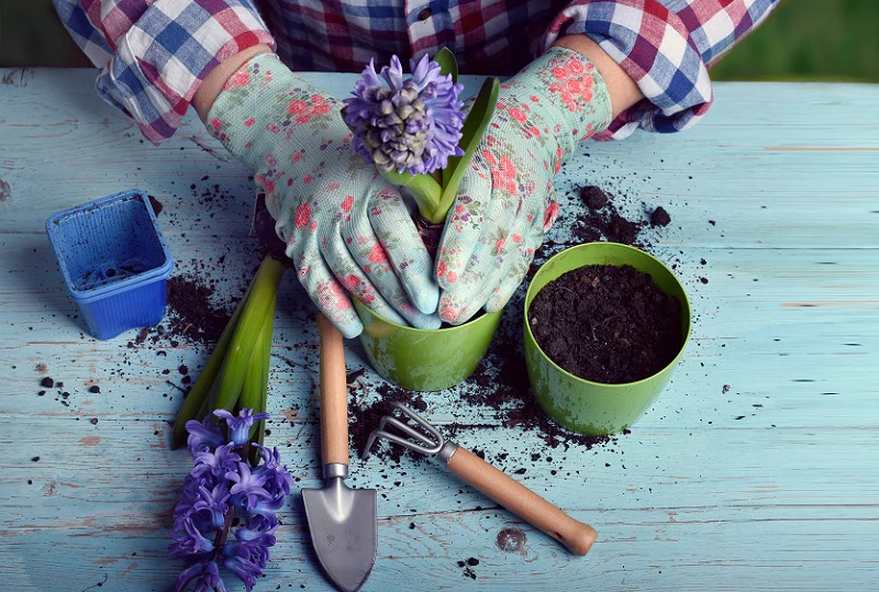 Ready to Use Organic Potting Soil Mix (1kg) - Image 3