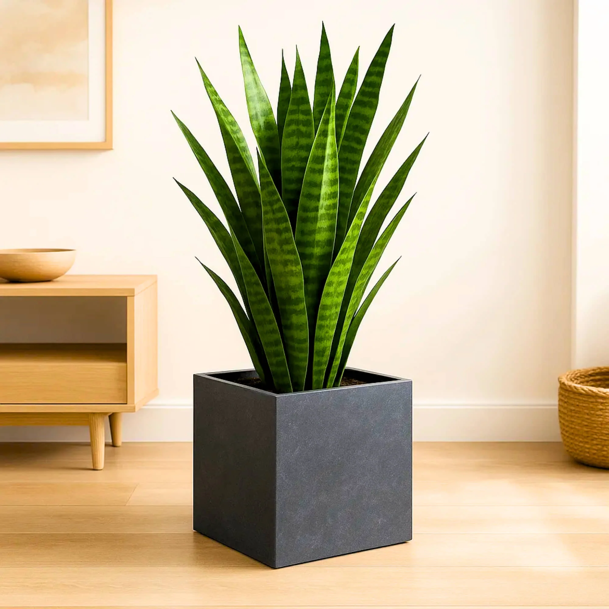 Roto Plastic Pot Decorative Grey Container with 10+ Years Durability | Lightweight, Unbreakable & Weatherproof Plant Pots | Premium Planter Indoor-Outdoor Garden, Balcony, & Living Room (Grey Marble, Pack of 1) - Image 5