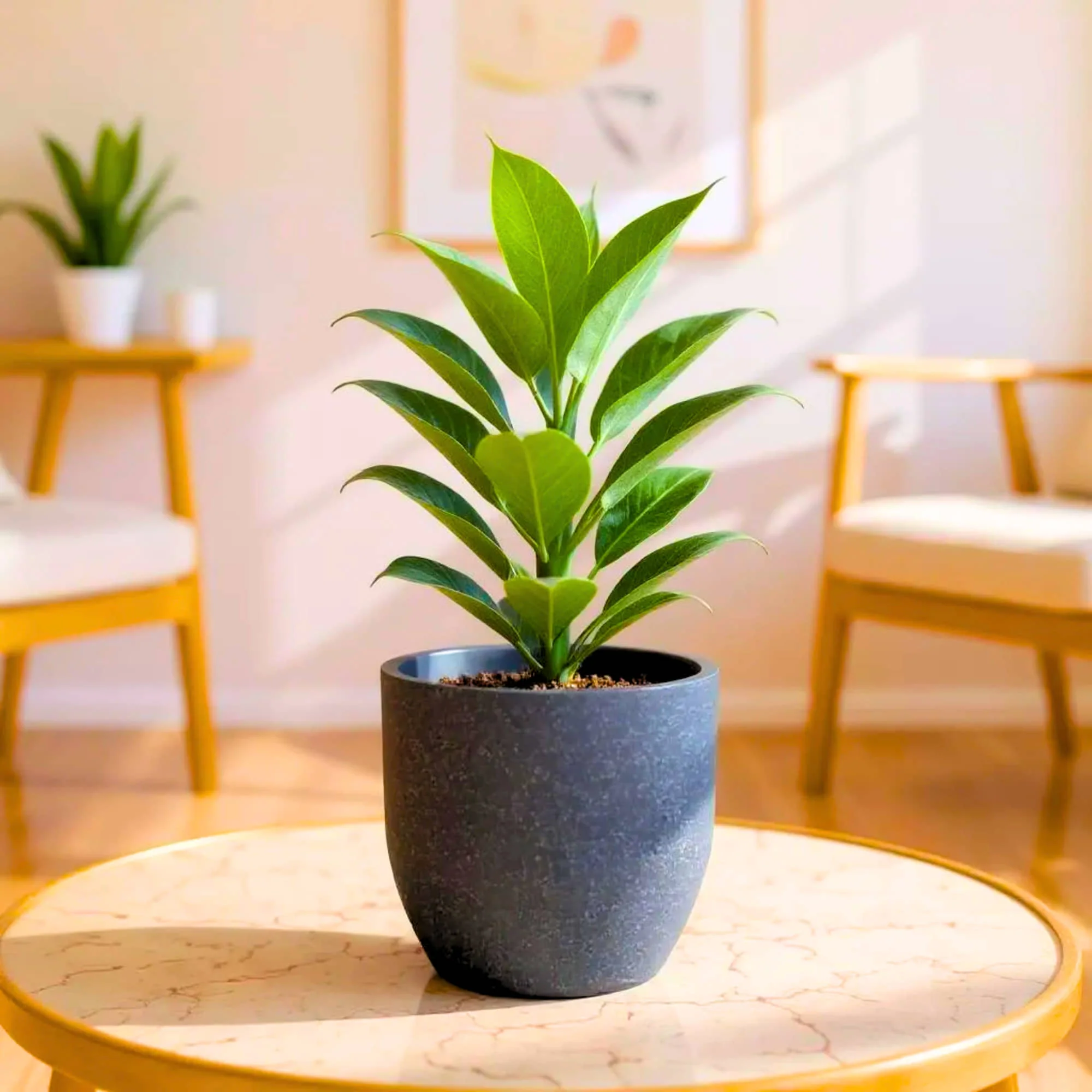 Roto Plastic Pot Decorative Grey Container with 10+ Years Durability | Lightweight, Unbreakable & Weatherproof Plant Pots | Premium Planter Indoor-Outdoor Garden, Balcony, & Living Room (Grey Marble, Pack of 1) - Image 9
