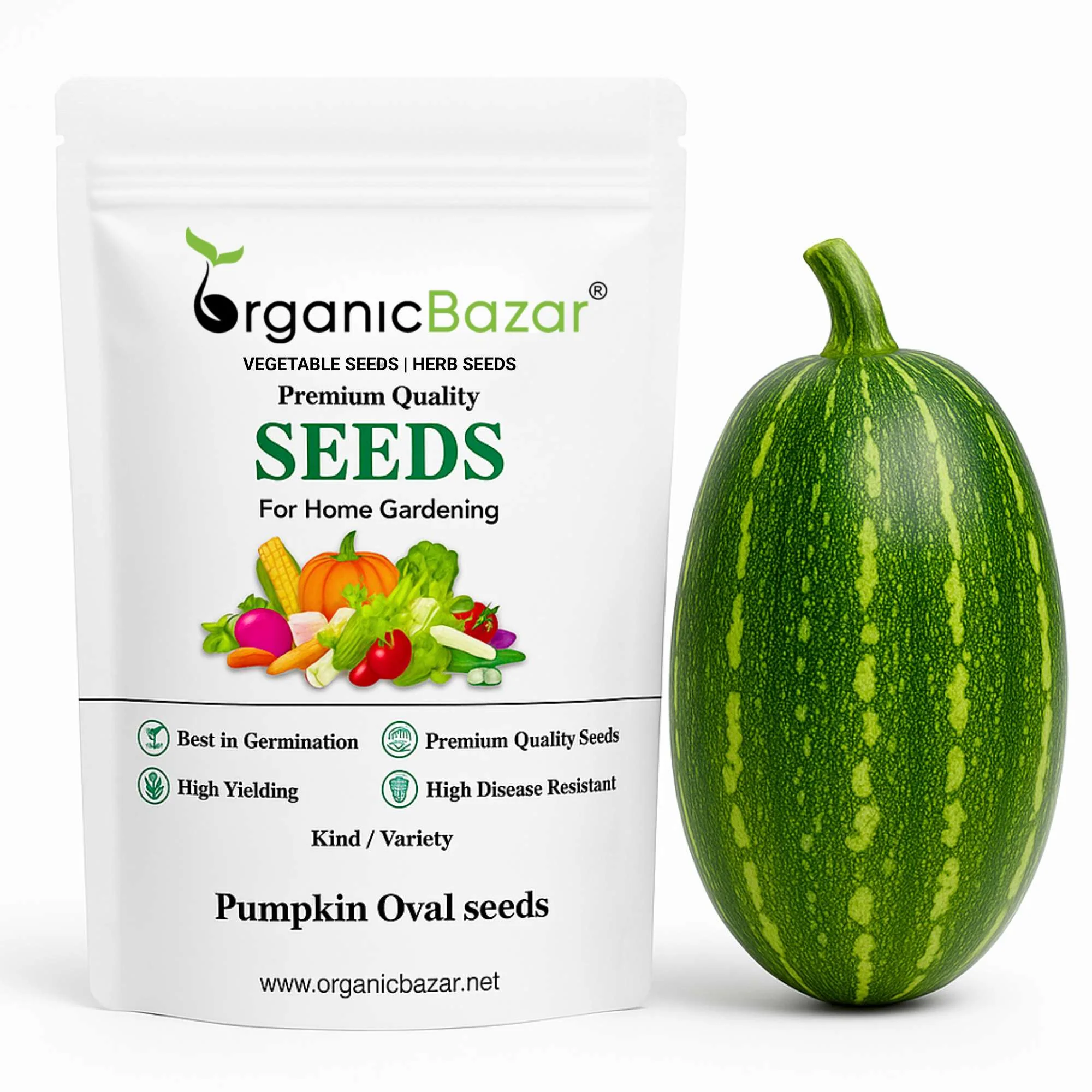Pumpkin Oval seeds - 12 Seeds (Kaddu/ कद्दू के बीज)  Easy To grow, High Germination, High Yield Kaddu Seeds for Home Gardening