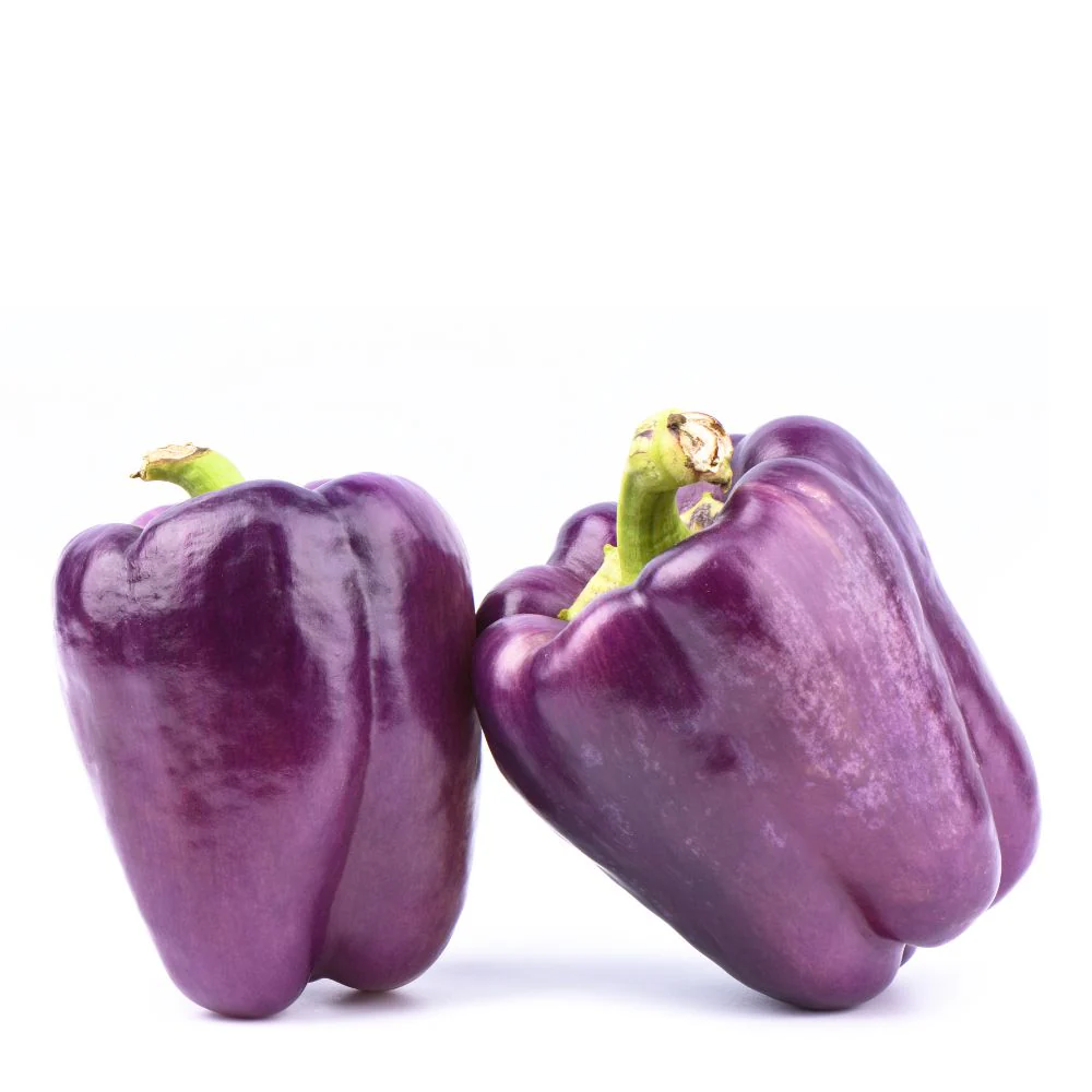 Purple Capsicum (OP) Seeds - 30 Seeds (Bainganee Shimla Mirch/बैंगनी शिमला मिर्च के बीज) High Yield | High Germination | Best for Home Gardens - Image 2