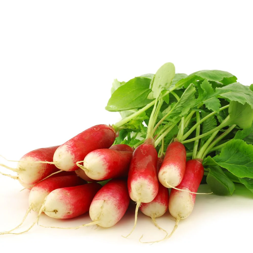 Radish Half Red And White Seeds - 250 Seeds (Mooli/मूली के बीज) - Image 2
