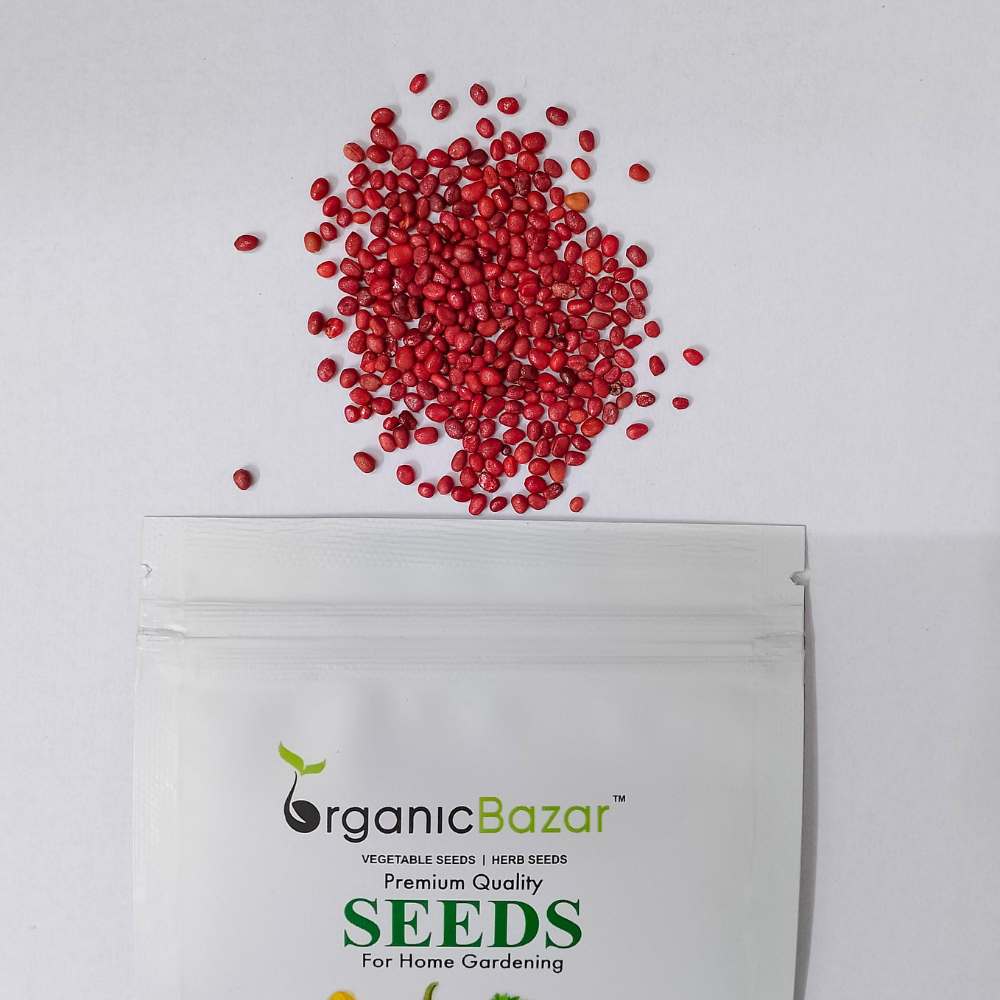 Radish Half Red And White Seeds - 250 Seeds (Mooli/मूली के बीज) - Image 3
